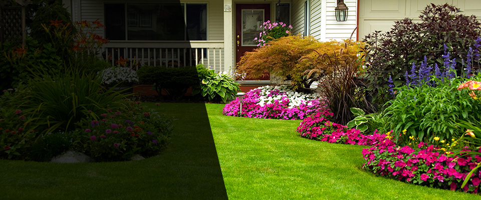 Venus Landscapers